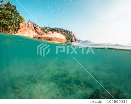 Under the sea and bay at Koh Tao 103690335