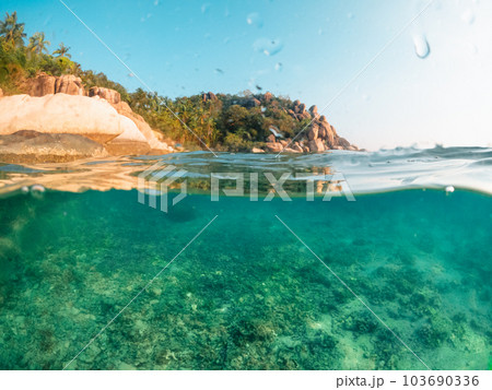 Under the sea and bay at Koh Tao Under the sea and bay at Koh Tao 103690336