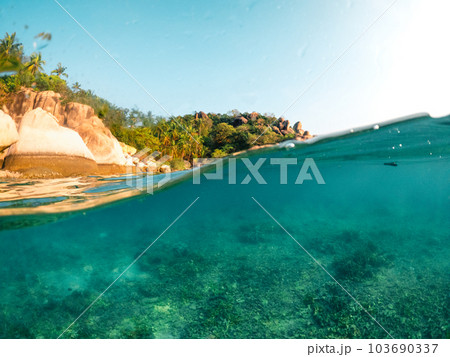 Under the sea and bay at Koh Tao Under the sea and bay at Koh Tao 103690337