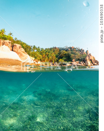 Under the sea and bay at Koh Tao 103690338