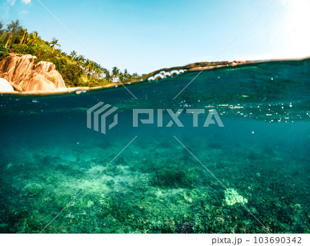 Under the sea and bay at Koh Tao 103690342