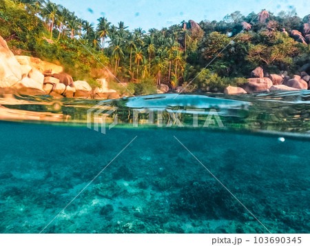 Under the sea and bay at Koh Tao 103690345