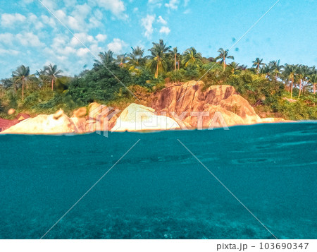 Under the sea and bay at Koh Tao 103690347