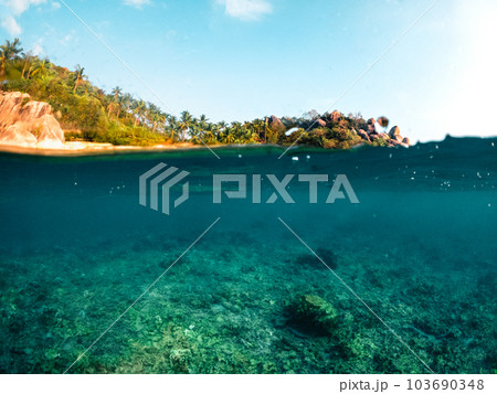 Under the sea and bay at Koh Tao 103690348