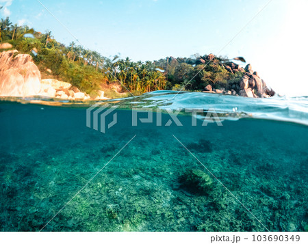 Under the sea and bay at Koh Tao 103690349