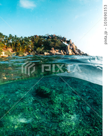 Under the sea and bay at Koh Tao 103690353