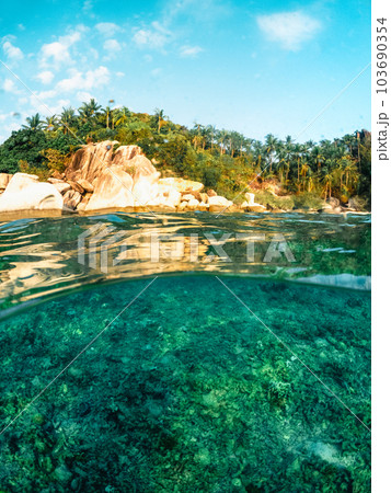 Under the sea and bay at Koh Tao 103690354