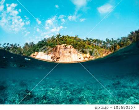 Under the sea and bay at Koh Tao 103690357