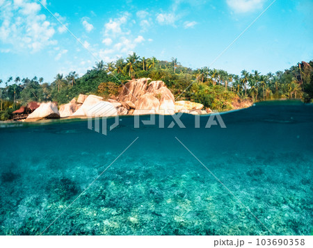 Under the sea and bay at Koh Tao 103690358