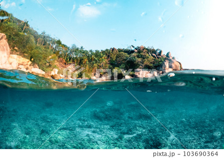 Under the sea and bay at Koh Tao 103690364