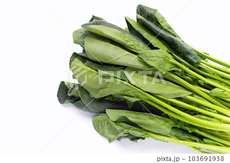 Fresh spinach on white background Fresh spinach on white background 103691938