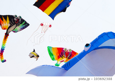 February 26, 2023 "Pattaya International Kite On The Beach 2023" Colorful kites dazzled in the sky. Many tourists enjoy to fly kites and look up. Pattaya beach, Chonburi, Thailand. February 26, 2023 "Pattaya International Kite On The Beach 2023" Colorful kites dazzled in the sky. Many tourists enjoy to fly kites and look up. Pattaya beach, Chonburi, Thailand. 103692388