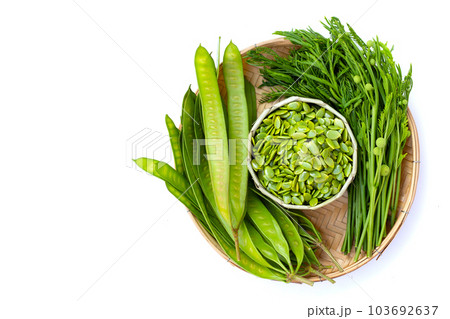 Leucaena leucocephala isolated on white background 103692637