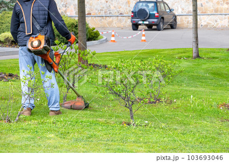 A gardener with a trimmer walks in the garden between the trees and carefully mows the growing grass on a spring day. 103693046