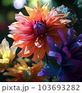 虹色の花  103693282