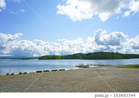 北海道幌加内町　朱鞠内湖　新緑の朱鞠内湖　 103693344