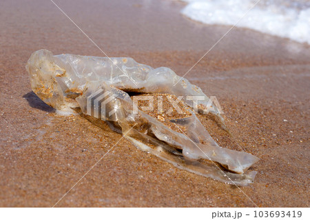 Plastic bag pollution on the beach 103693419