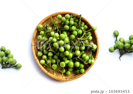Turkey berry isolated on white background 103693453