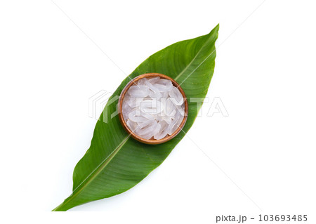 Toddy palm on white background. 103693485