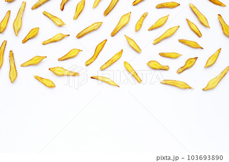 finger root on a white background. 103693890