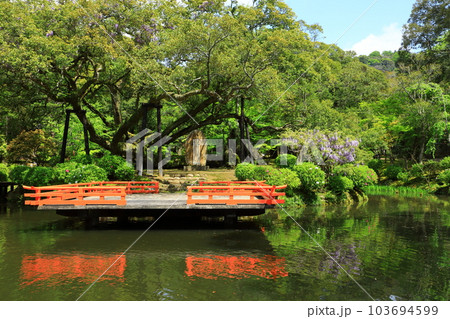 春日大社神苑　萬葉植物園　 103694599