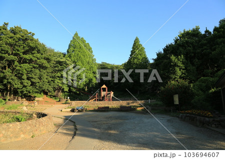 三ッ池公園を歩いた 103694607