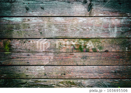 Wooden fence covered by moss 103695506