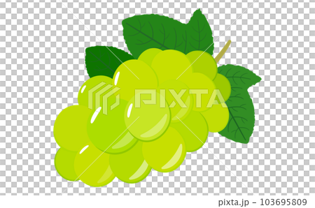 Delicious and beautiful yellow-green muscat and grape vector illustration material_summer fruits, food, fruits Delicious and beautiful yellow-green muscat and grape vector illustration material_summer fruits, food, fruits 103695809