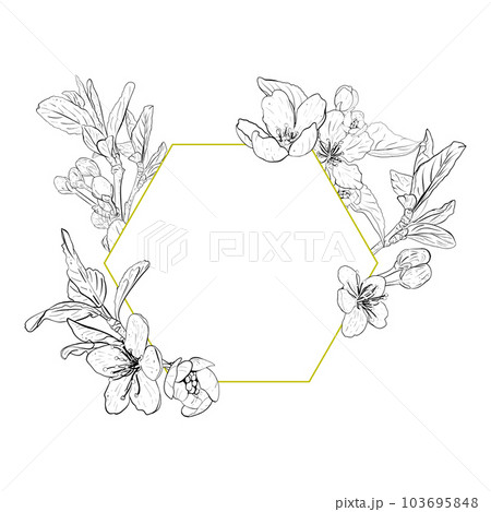 Vector illustration frame composition with flowers and leaves of cherry, sakura, apple, plum, wild cherry plum, bird cherry, pear. Realistic contour, graphic drawing. For cards, logo, photos, stickers 103695848