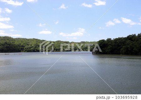 呑吐ダムのダム湖（兵庫県 三木市 神戸市 衝原湖） 103695928