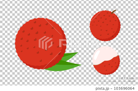 Delicious and beautiful red lychee vector illustration material_summer fruits, food, fruits 103696064