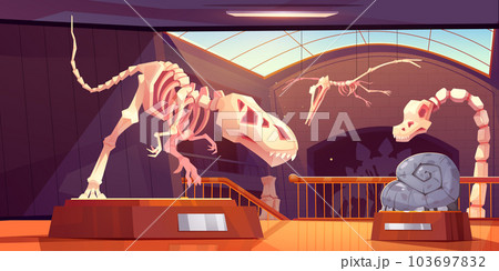 Fossil tyrannosaurus dinosaur skeleton in museum Fossil tyrannosaurus dinosaur skeleton in museum 103697832