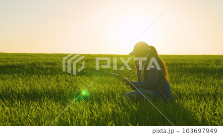 woman farmer works digital tablet. agronomist green wheat sunset. farming. griculture. eco cultural modern farm concept. modern technology smart digital agriculture tablet. agronomist farmer worker woman farmer works digital tablet. agronomist green wheat sunset. farming. griculture. eco cultural modern farm concept. modern technology smart digital agriculture tablet. agronomist farmer worker 103697949