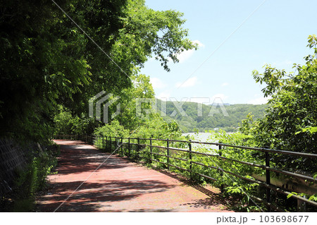 神出山田自転車道（兵庫県 神戸市 呑吐ダム つくはら湖） 103698677