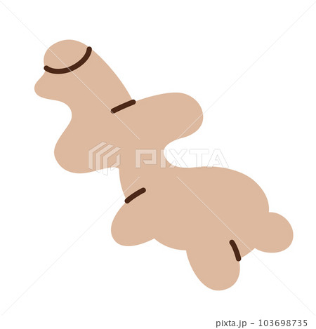 Fresh ginger root icon, vector doodle illustration of Asian spice for ethnic meals, gingersnap cookies, recipe ingredient, seasoning food for spicy taste, isolated colored clipart on white background 103698735