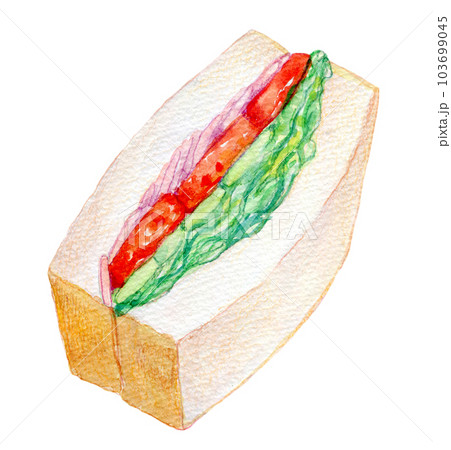 サンドイッチ　食べ物　水彩イラスト　 103699045