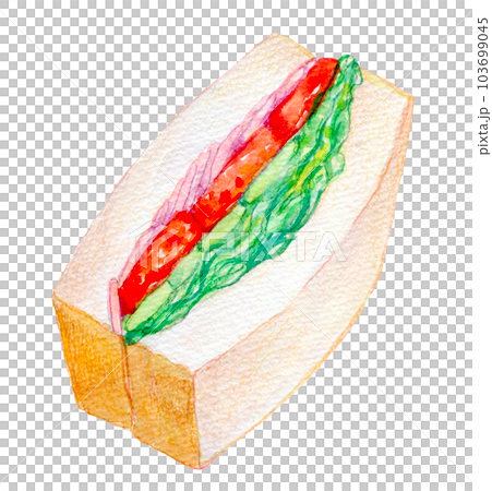 サンドイッチ　食べ物　水彩イラスト　 103699045