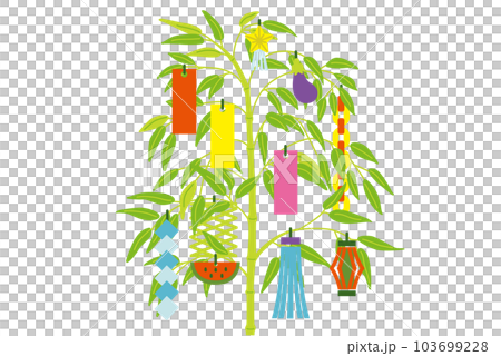 七夕のイラスト　背景無　 103699228