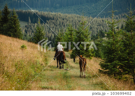 a man is riding a horse, a foal is walking next to him a man is riding a horse, a foal is walking next to him 103699402