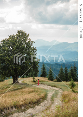 woman on the path near old big beech tree in the mountains 103699415