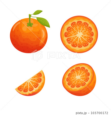 Set of orange fruit slices. Whole orange with leaves, half, slice and circle Set of orange fruit slices. Whole orange with leaves, half, slice and circle 103700172
