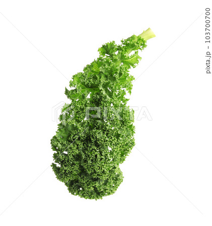 Fresh green kale leaf isolated on white 103700700