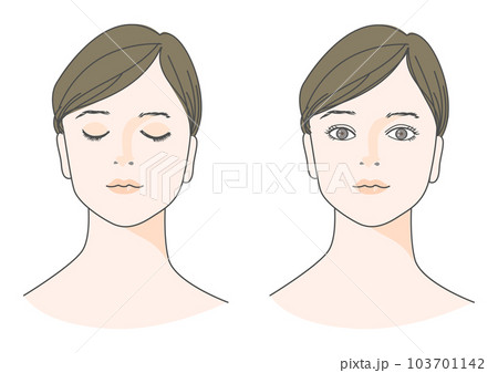 目を閉じた女性と目を開けた女性の顔 正面アップのイラストセット 黒髪 シニヨン アップヘア 103701142