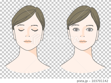 目を閉じた女性と目を開けた女性の顔 正面アップのイラストセット 黒髪 シニヨン アップヘア 103701142