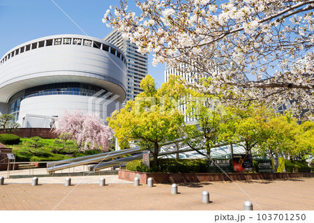 中之島の春 103701250