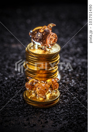 Bitcoin saving concept Bitcoin saving concept 103701490