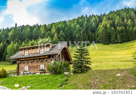Wooden alpine cabin Wooden alpine cabin 103701951
