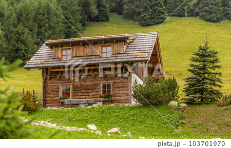 Alpine chalet Alpine chalet 103701970