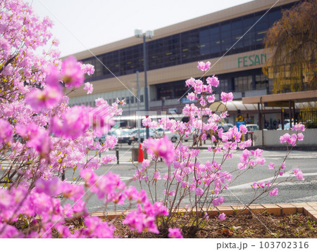 盛岡駅とツツジの花壇 103702316