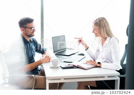 Business meeting. Client consulting. Confident business woman, real estate agent, financial advisor explaining details of project or financial product to client in office Business meeting. Client consulting. Confident business woman, real estate agent, financial advisor explaining details of project or financial product to client in office 103702424